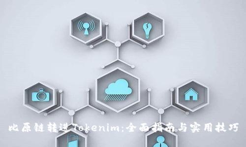比原链转进Tokenim：全面指南与实用技巧