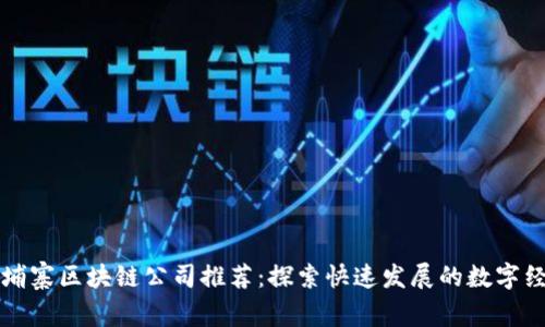柬埔寨区块链公司推荐：探索快速发展的数字经济