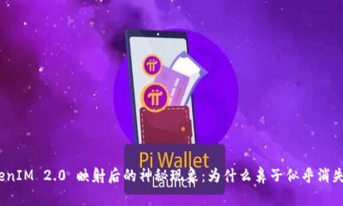 TokenIM 2.0 映射后的神秘现象：为什么鼻子似乎消失了？