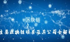 主要区块链项目及其公司全解析
