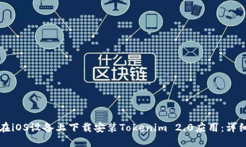 如何在iOS设备上下载安装Tokenim 2.0应用：详细指南