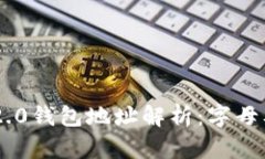 Tokenim 2.0钱包地址解析：字母及其重要性