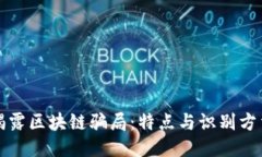 揭露区块链骗局：特点与识别方法