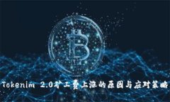 Tokenim 2.0矿工费上涨的原因与应对策略
