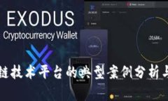 区块链技术平台的典型案例分析与比较