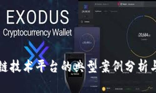 区块链技术平台的典型案例分析与比较