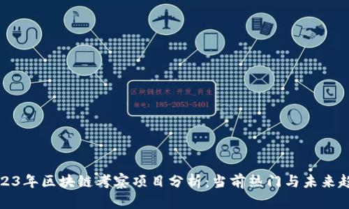 2023年区块链考察项目分析：当前热门与未来趋势