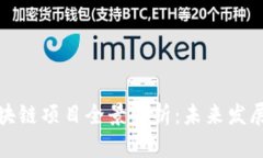 河南洛阳区块链项目全景解析：未来发展的关键