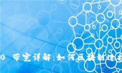 Tokenim 2.0 带宽详解：如何区块链连接和网络性能