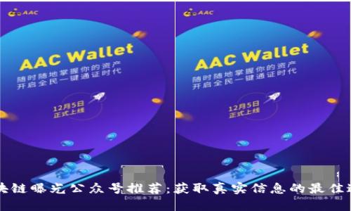 区块链曝光公众号推荐：获取真实信息的最佳途径