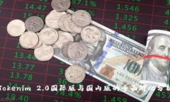 Tokenim 2.0国际版与国内版的全面对比分析