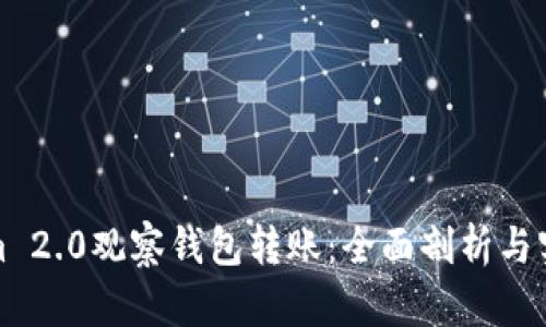 Tokenim 2.0观察钱包转账：全面剖析与实用指南