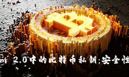 探索Tokenim 2.0中的比特币私钥：安全性与使用指南