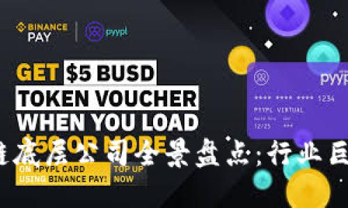 2023年区块链底层公司全景盘点：行业巨头与新兴力量