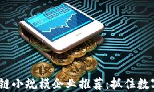 
2023年区块链小规模企业推荐：抓住数字经济的机遇