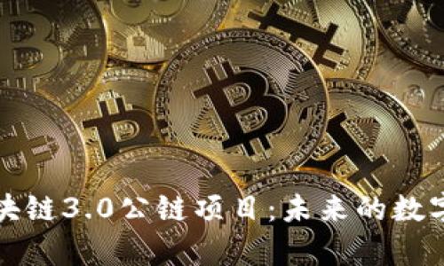 深度解析区块链3.0公链项目：未来的数字经济引领者