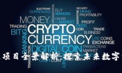 合肥区块链项目全景解析：探索未来数字经济的