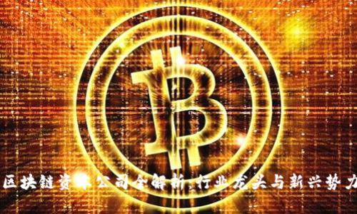 区块链资本公司全解析：行业龙头与新兴势力