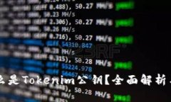 ### 什么是Tokenim公钥？全面解析与应用指南