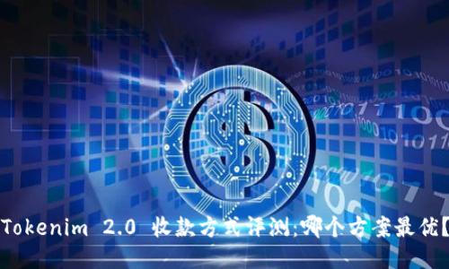 Tokenim 2.0 收款方式评测：哪个方案最优？
