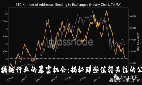 区块链行业的暴富机会：揭秘那些值得关注的公司