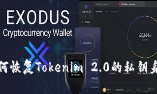如何恢复Tokenim 2.0的私钥身份