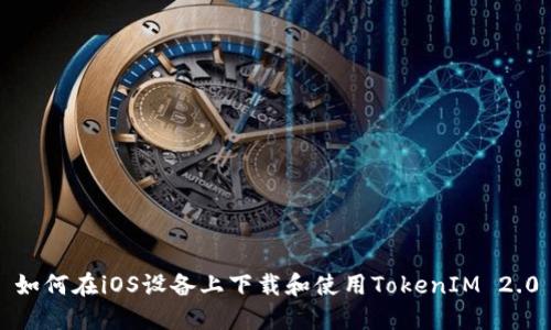 如何在iOS设备上下载和使用TokenIM 2.0