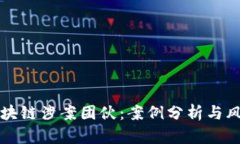 揭秘区块链涉案团伙：案例分析与风险防范