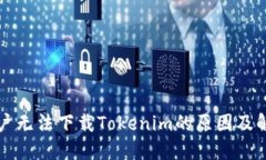 苹果用户无法下载Tokenim的原因及解决方案