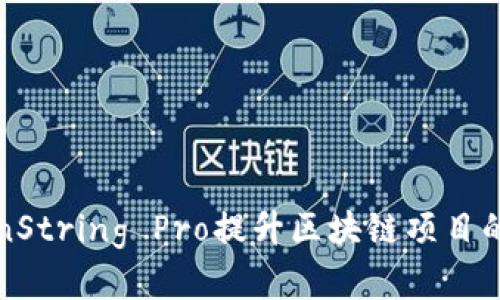 如何使用TokenString Pro提升区块链项目的安全性与效率