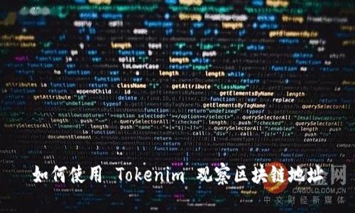 如何使用 Tokenim 观察区块链地址