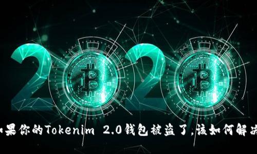 如果你的Tokenim 2.0钱包被盗了，该如何解决？