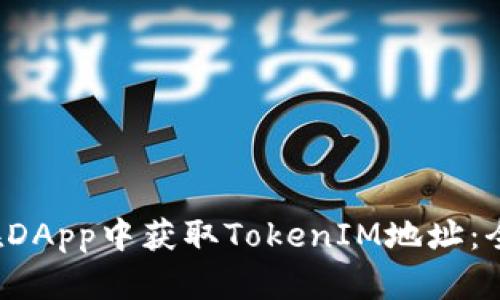  如何在DApp中获取TokenIM地址：全面指南