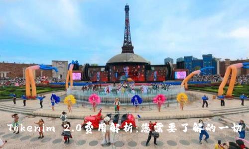  Tokenim 2.0费用解析：您需要了解的一切 
