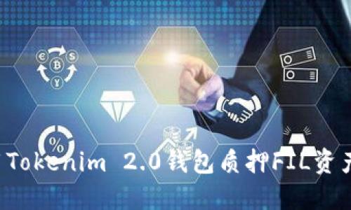 : 如何使用Tokenim 2.0钱包质押FIL资产：详细指南