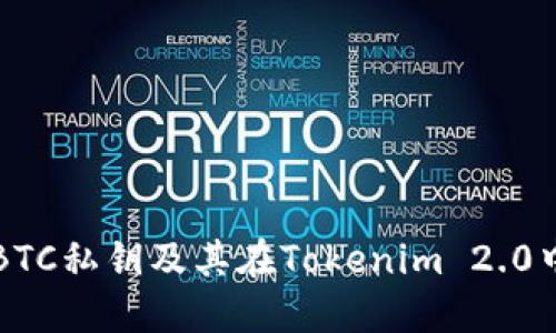 什么是BTC私钥及其在Tokenim 2.0中的应用