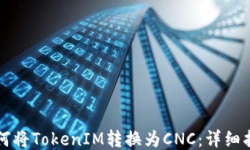 
如何将TokenIM转换为CNC：详细指南