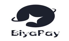 要将Tokenim 2.0换成人民币（CNY），您需要首先了解