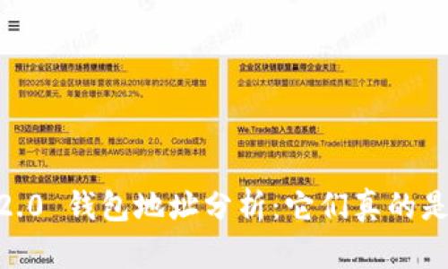 Tokenim 2.0 钱包地址分析：它们真的是相同的吗？