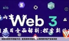 完全大纲与内容示例阳泉区块链项目全面解析：