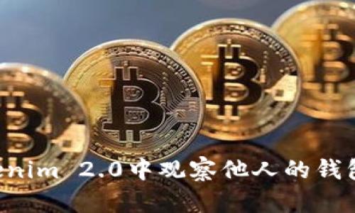 如何在Tokenim 2.0中观察他人的钱包：完全指南