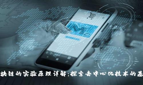 区块链的实验原理详解：探索去中心化技术的基础