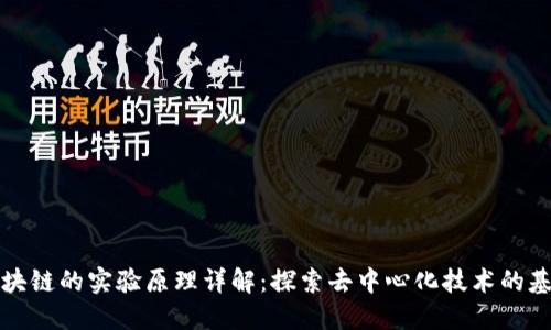 区块链的实验原理详解：探索去中心化技术的基础