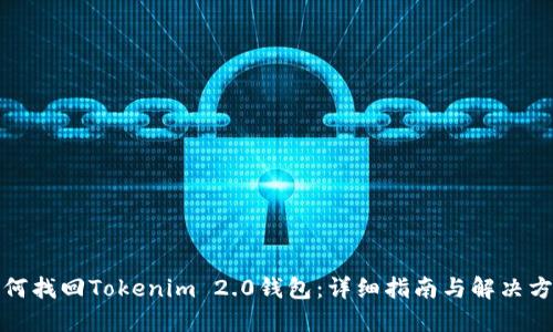 如何找回Tokenim 2.0钱包：详细指南与解决方案
