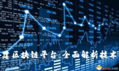 如何搭建区块链平台：全面解析技术与步骤