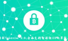   深入解析Tokenim 2.0：全面支持智能链20的革新与