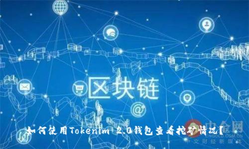 如何使用Tokenim 2.0钱包查看挖矿情况?