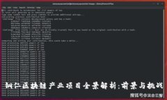 铜仁区块链产业项目全景解析：前景与挑战
