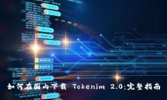 如何在国内下载 Tokenim 2.0：完整指南