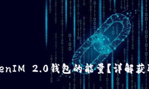 如何获得TokenIM 2.0钱包的能量？详解获取方法与技巧